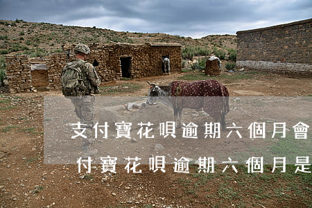 支付寶花唄逾期六個月會起訴嗎是真的嗎，支付寶花唄逾期六個月是否會被起訴？真相大揭秘！